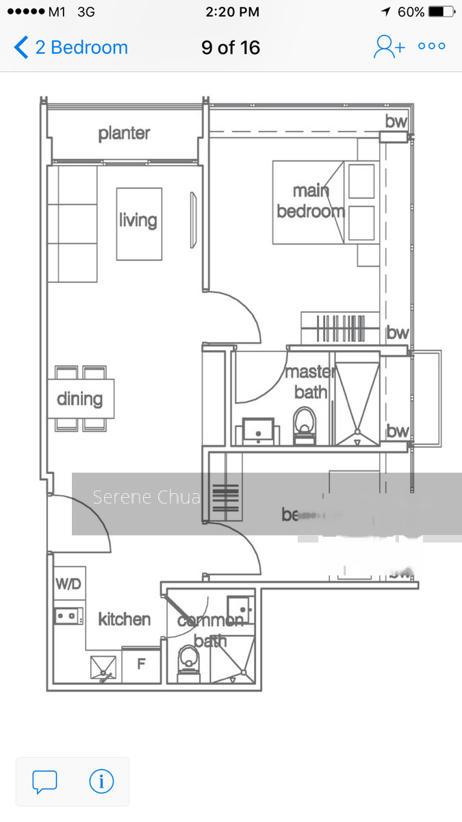 Alexis thumbnail photo